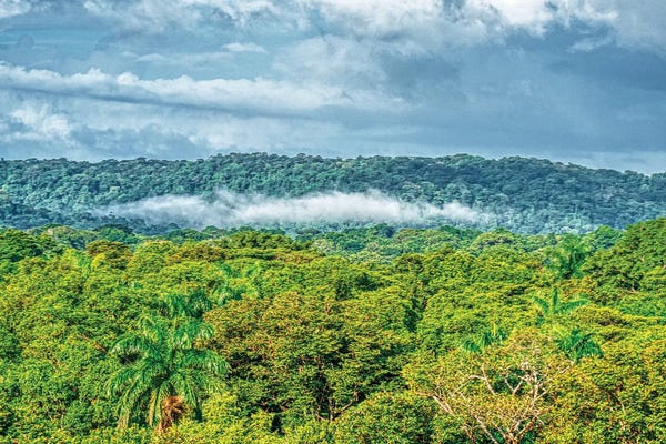 Central America: Panama by Janet Fikar