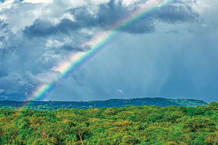 Rainbow Over Panama II by Janet Fikar wall art
