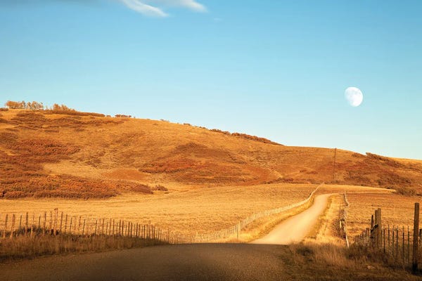 Janet Fikar: Take Me Home Country Road by Janet Fikar