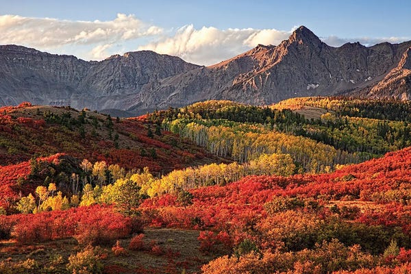 Dallas: Dallas Divide by Janet Fikar