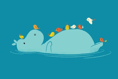 Floating Hippo by Jay Fleck art print