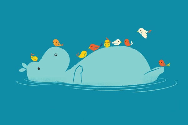 Hippopotamuses: Floating Hippo by Jay Fleck