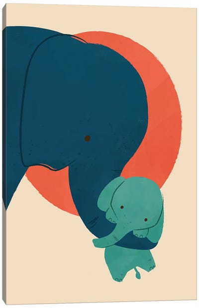 Baby Elephant II Canvas Art Print - Jay Fleck