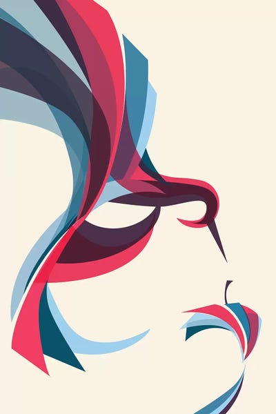 Hummingbird by Jay Fleck framed wall art