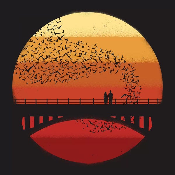 Into The Setting Sun