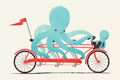 Jay Fleck