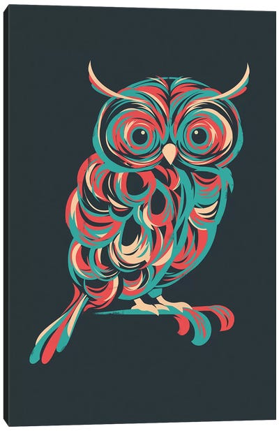 Night Owl Canvas Art Print - Jay Fleck