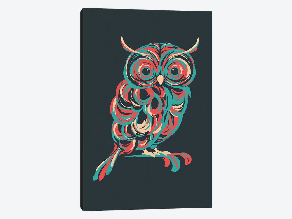 Night Owl by Jay Fleck 1-piece Canvas Artwork
