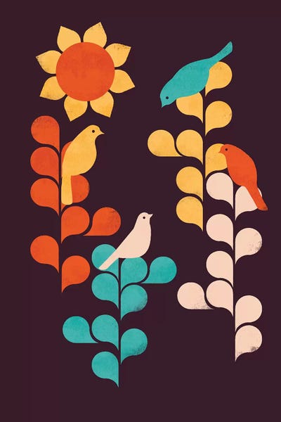 Sunflowers: Sunflower by Jay Fleck