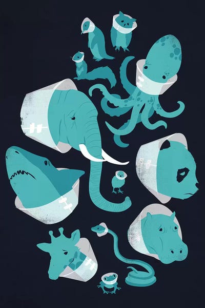 Hippopotamuses: Cones Of Shame by Jay Fleck