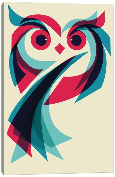 Owl Canvas Art Print - Jay Fleck