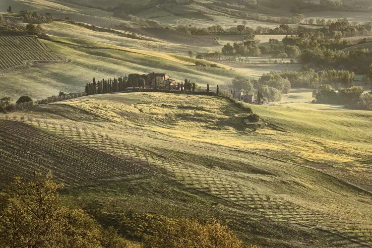 Europe, Italy, Tuscany, Val D'Orcia by John Ford wall art