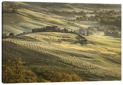 Europe, Italy, Tuscany, Val D'Orcia Canvas Art Print