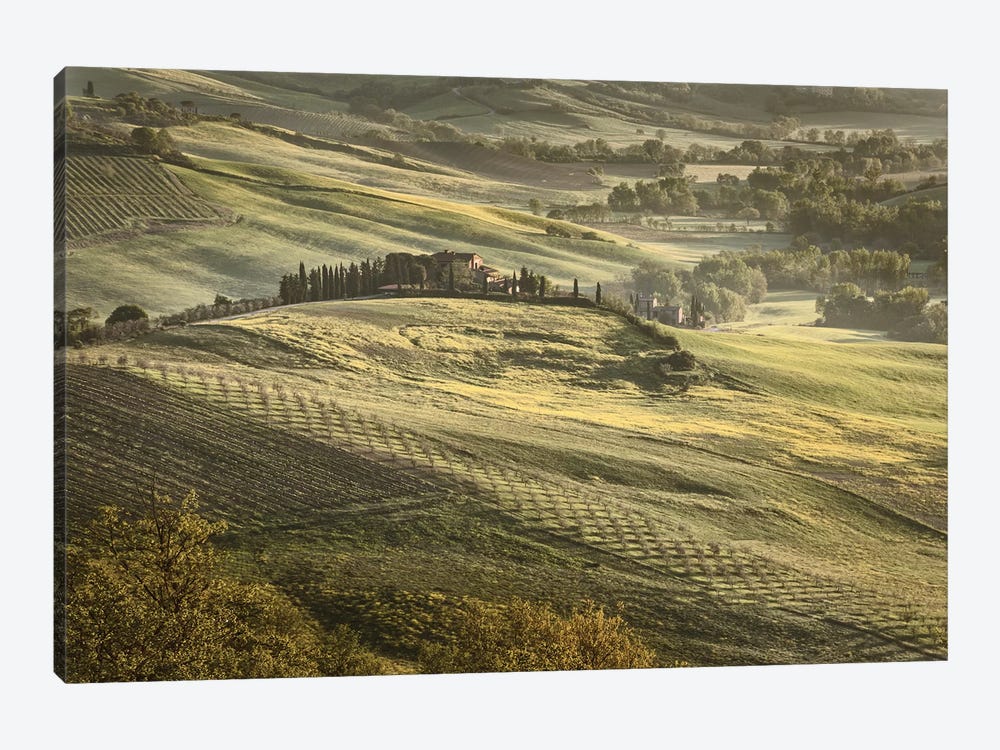 Europe, Italy, Tuscany, Val D'Orcia by John Ford 1-piece Canvas Artwork