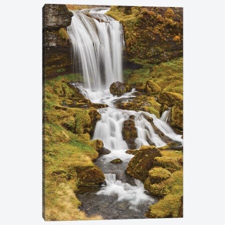 Iceland, Sheep'S Waterfall Canvas Print #JFO31} by John Ford Canvas Artwork