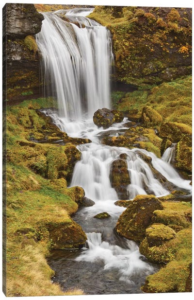 Iceland, Sheep'S Waterfall Canvas Art Print