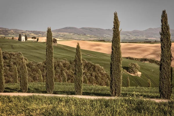 Cypress Trees: Europe, Italy, Cappella Vitaleta by John Ford