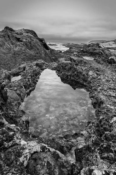 Carmel-By-The-Sea: Usa, California, Carmel, Point Lobos by John Ford
