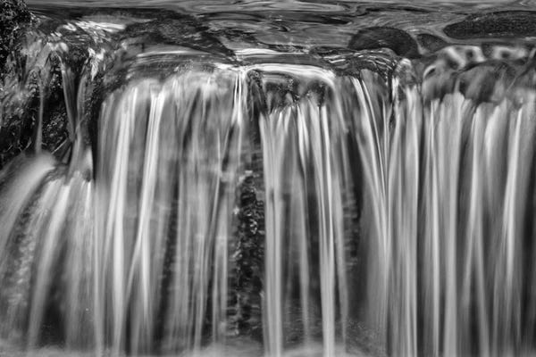 John Ford: Usa, California, Yosemite, Fern Spring by John Ford