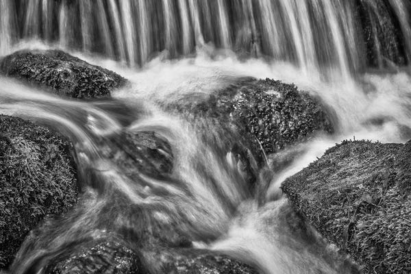John Ford: Usa, California, Yosemite, Fern Spring by John Ford
