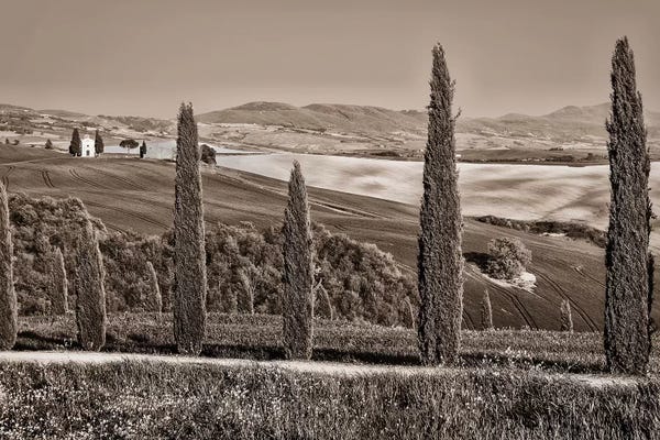 Cypress Trees: Europe, Italy, Cappella Vitaleta by John Ford