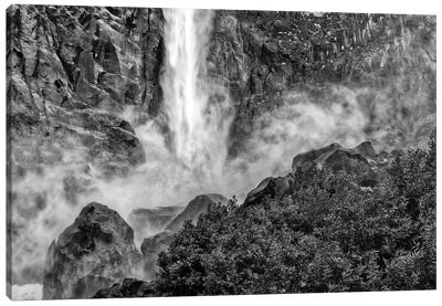 Usa, California, Yosemite, Fern Spring Canvas Art Print - Yosemite National Park Art