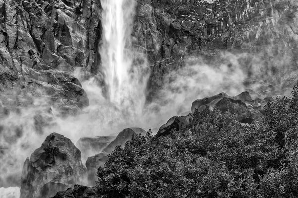 John Ford: Usa, California, Yosemite, Fern Spring by John Ford