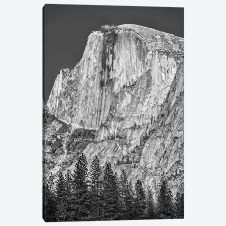 Usa, California, Yosemite, Half Dome Canvas Print #JFO51} by John Ford Canvas Art