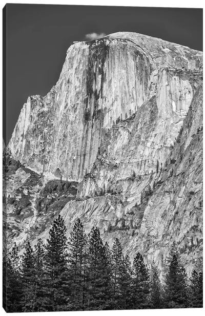 Usa, California, Yosemite, Half Dome Canvas Art Print - Yosemite National Park Art