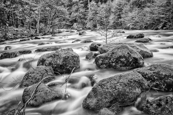 John Ford: Usa, California, Yosemite, Happy Isles by John Ford