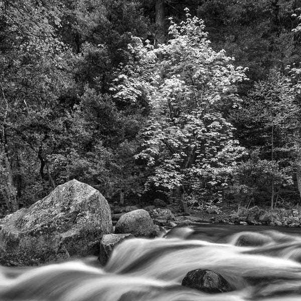 John Ford: Usa, California, Yosemite, Happy Isles by John Ford
