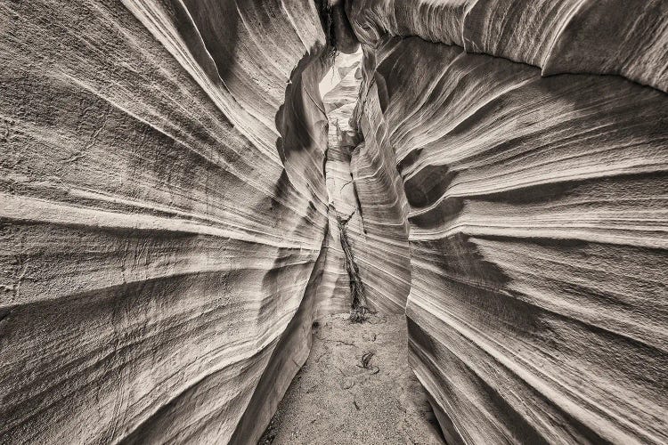 Escalante Canyons I