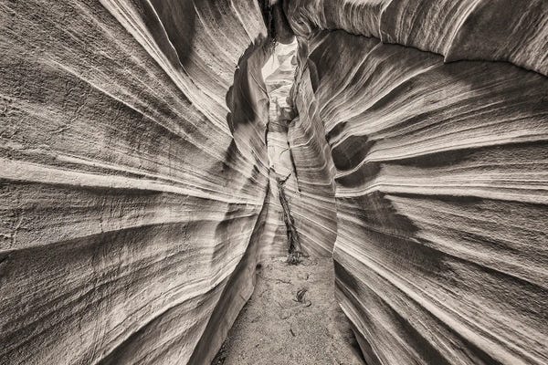 John Ford: Escalante Canyons I by John Ford