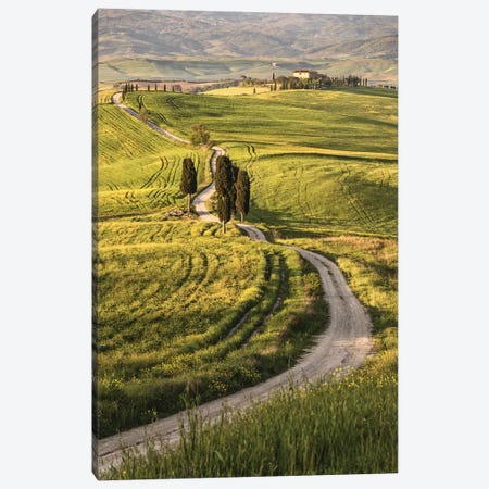 Europe, Italy, Tuscany, Val D'Orcia Canvas Print #JFO7} by John Ford Canvas Art Print