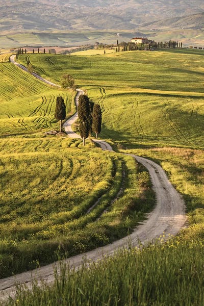 Val d'Orcia: Europe, Italy, Tuscany, Val D'Orcia by John Ford
