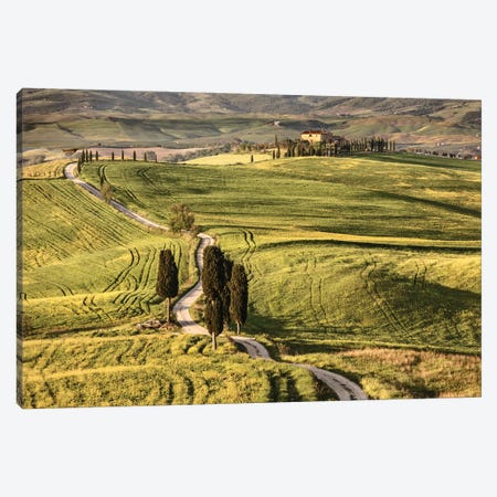 Europe, Italy, Tuscany, Val D'Orcia Canvas Print #JFO8} by John Ford Canvas Art