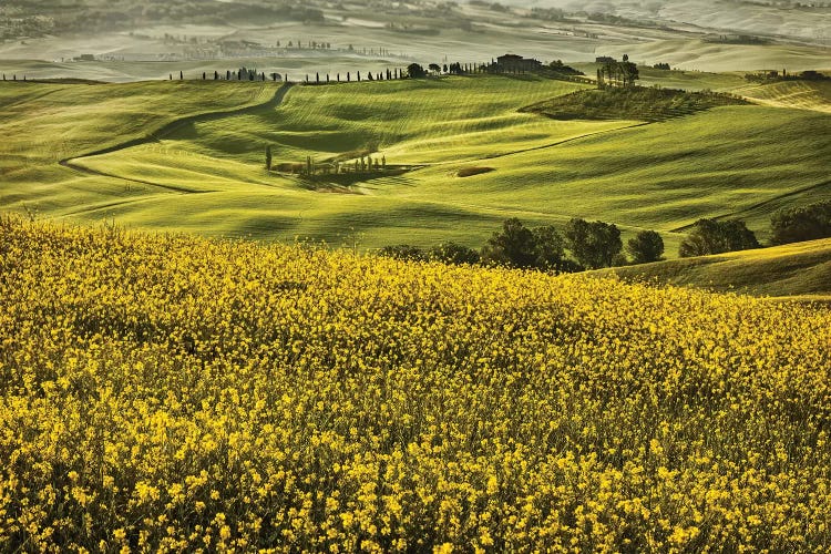 Europe, Italy, Tuscany, Val D'Orcia by John Ford wall art