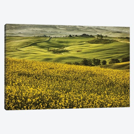 Europe, Italy, Tuscany, Val D'Orcia Canvas Print #JFO9} by John Ford Canvas Wall Art