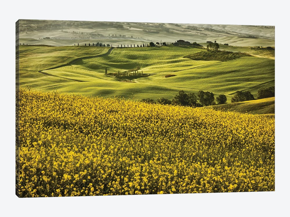 Europe, Italy, Tuscany, Val D'Orcia by John Ford 1-piece Canvas Art
