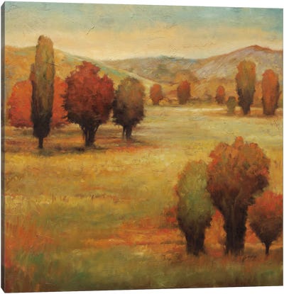 Hillside Meadow I Canvas Art Print