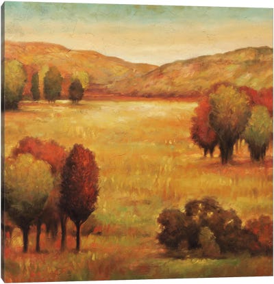 Hillside Meadow II Canvas Art Print