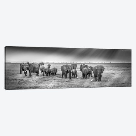 Breakfast With Pachyderms Canvas Print #JFS12} by Jeffrey C. Sink Canvas Artwork