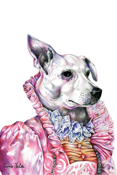 Navi by Jamie Forbes canvas print