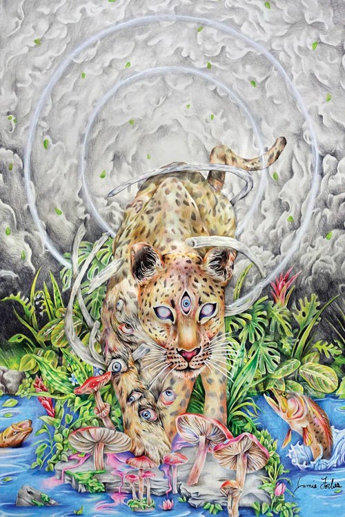 Nice Kitty by Jamie Forbes wall art