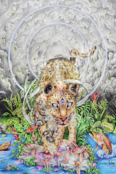 Psychedelic Animals: Nice Kitty by Jamie Forbes