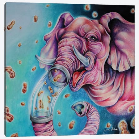 Pink Elephant Canvas Print #JFX15} by Jamie Forbes Canvas Artwork
