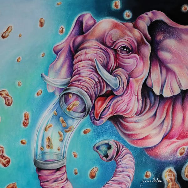 Psychedelic Animals: Pink Elephant by Jamie Forbes