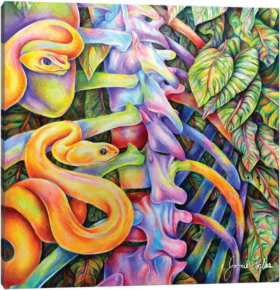 Snake Canvas Art Print - Psychedelic Animals