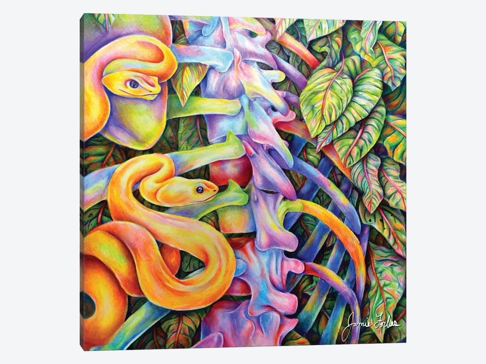 Snake by Jamie Forbes 1-piece Canvas Artwork