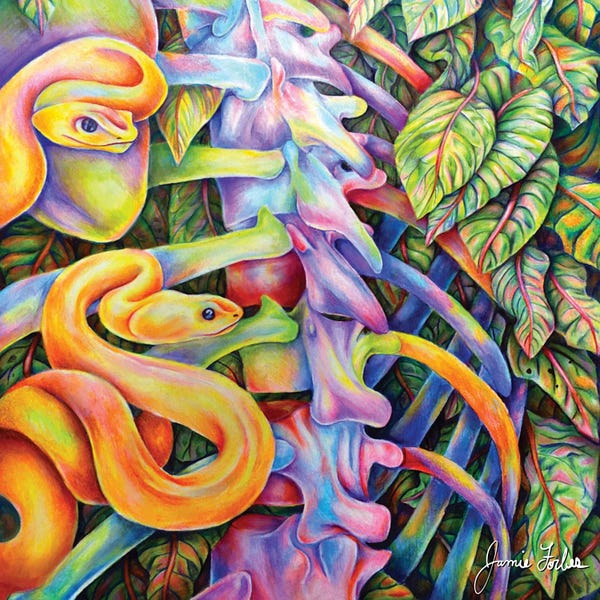 Psychedelic Animals: Snake by Jamie Forbes
